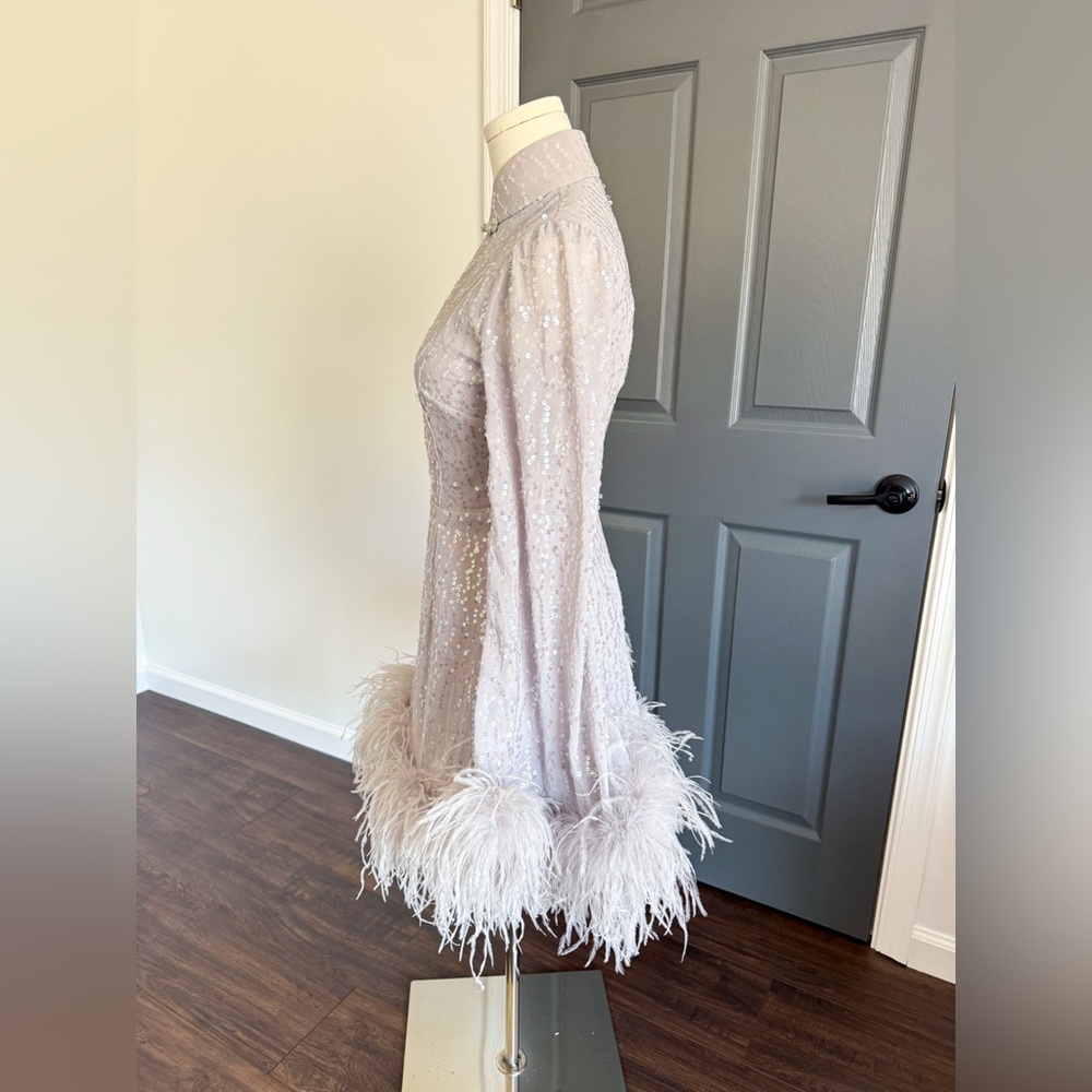 Sau Lee Bianca Mini Sequin and Feather Dress in Silver - Picture 8 of 14